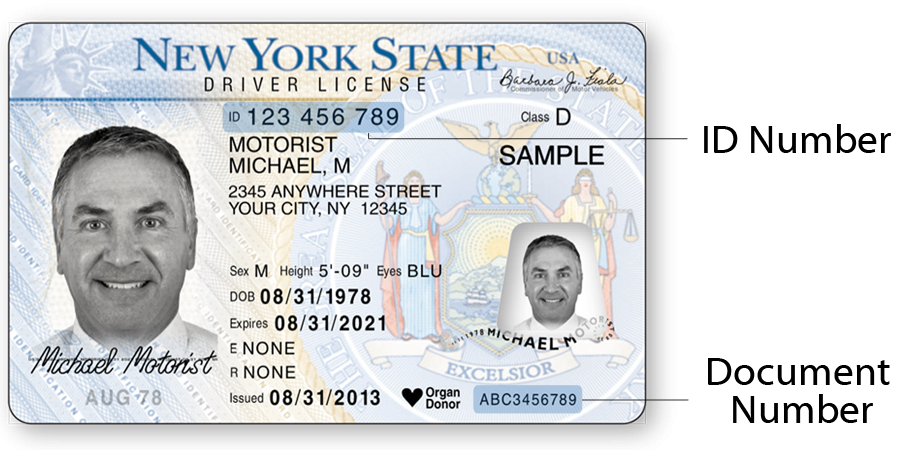 Nj driver license number lookup
